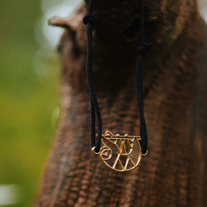 bracelet paresseux pendu arbre