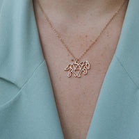 collier cheval équitation